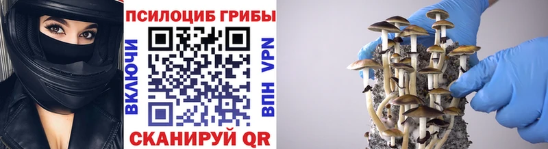 omg маркетплейс  Симферополь  Псилоцибиновые грибы GOLDEN TEACHER  даркнет сайт 